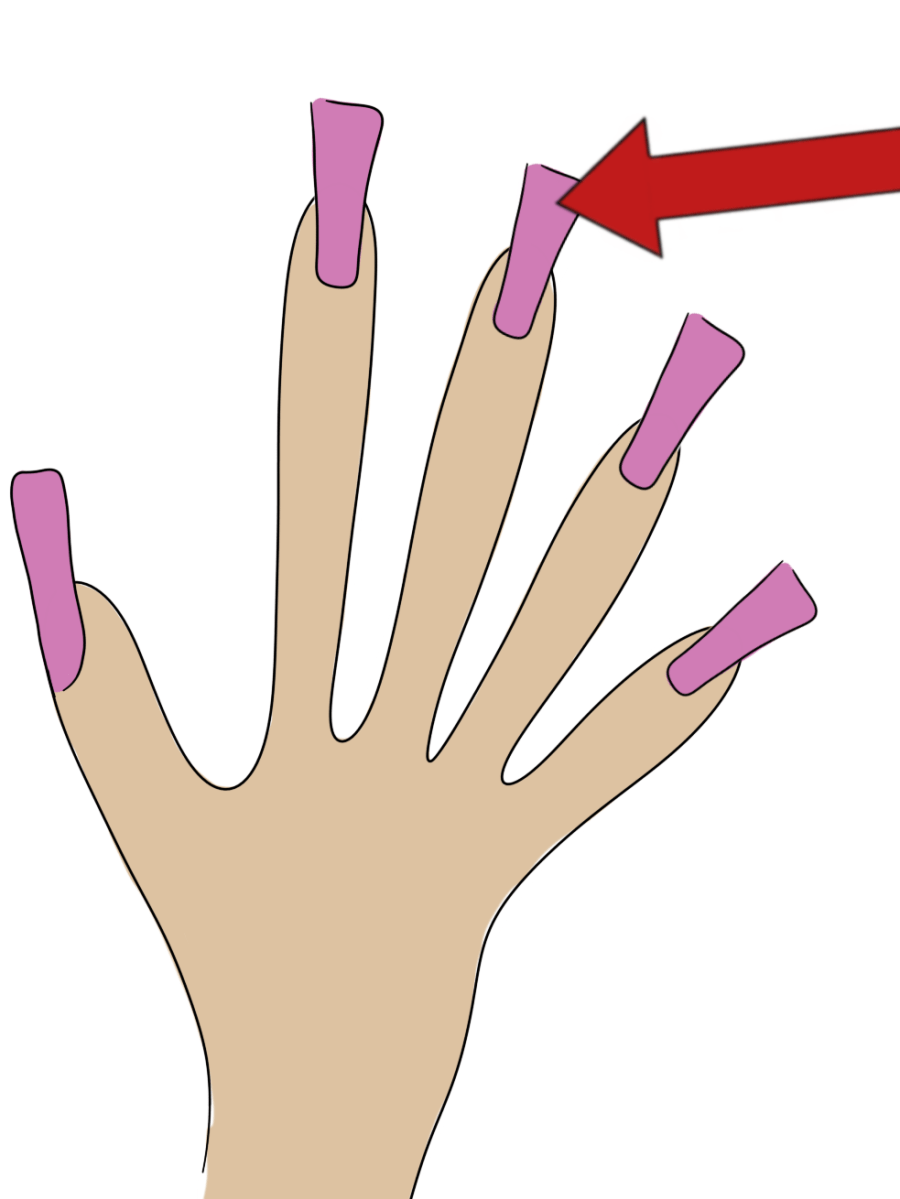 Use Words II, Chapter 6, Body parts 2 / Części ciała&nbsp;2