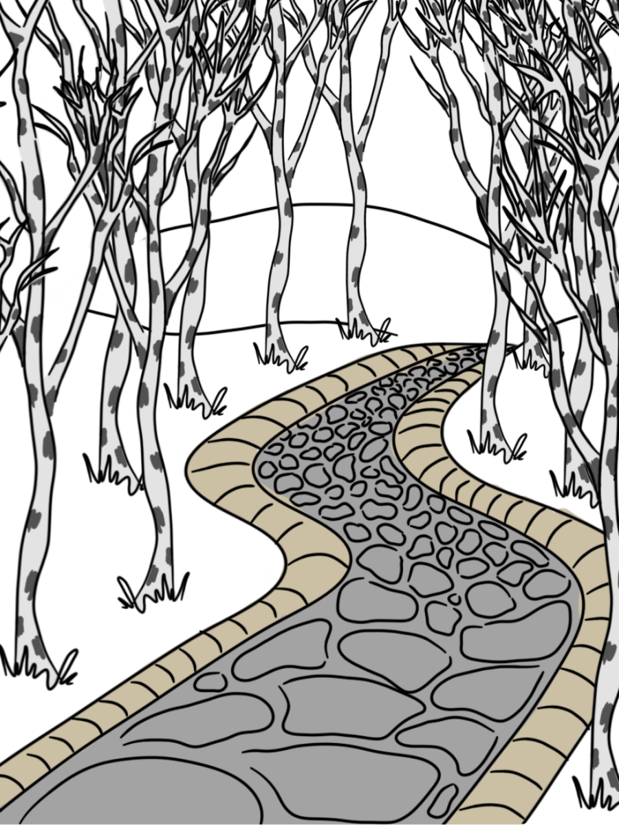 Use Words II, Chapter 9 Directions. Genitive case / Kierunki.&nbsp;Dopełniacz