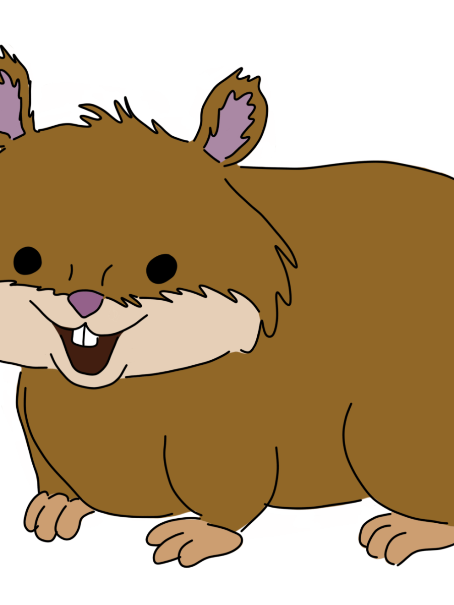 Use Words II, Chapter 13, Pets / Zwierzęta&nbsp;domowe